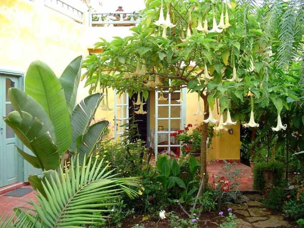 Bed and Breakfast Dar Beldi Oualidia Exterior foto